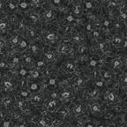 The Dutchess — Black &amp; White Floral Wallpaper