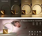 Rise & Glow Multifunctional Bedside Lamp ⏰✨