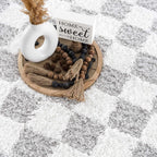 Cloud Check Plush Area Rug