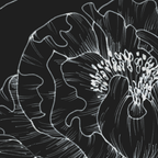 The Dutchess — Black &amp; White Floral Wallpaper