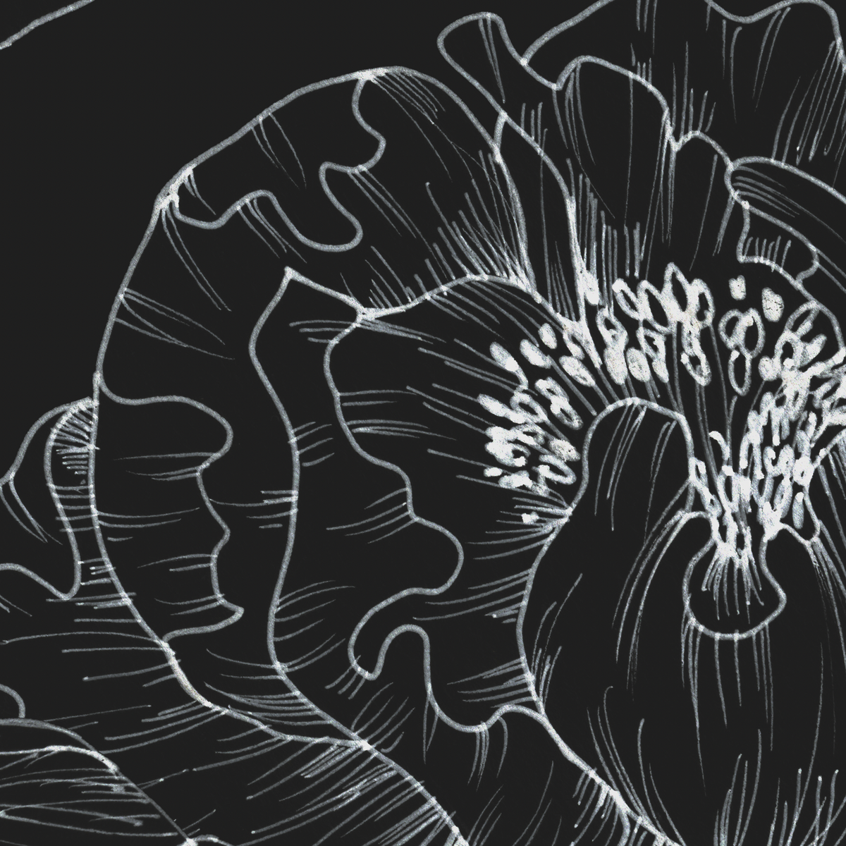 The Dutchess — Black &amp; White Floral Wallpaper