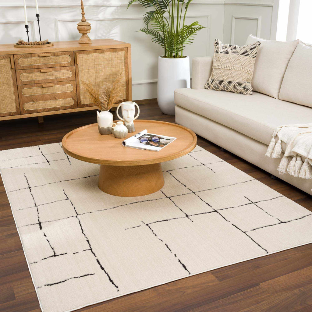 The Linework Plush Area Rug