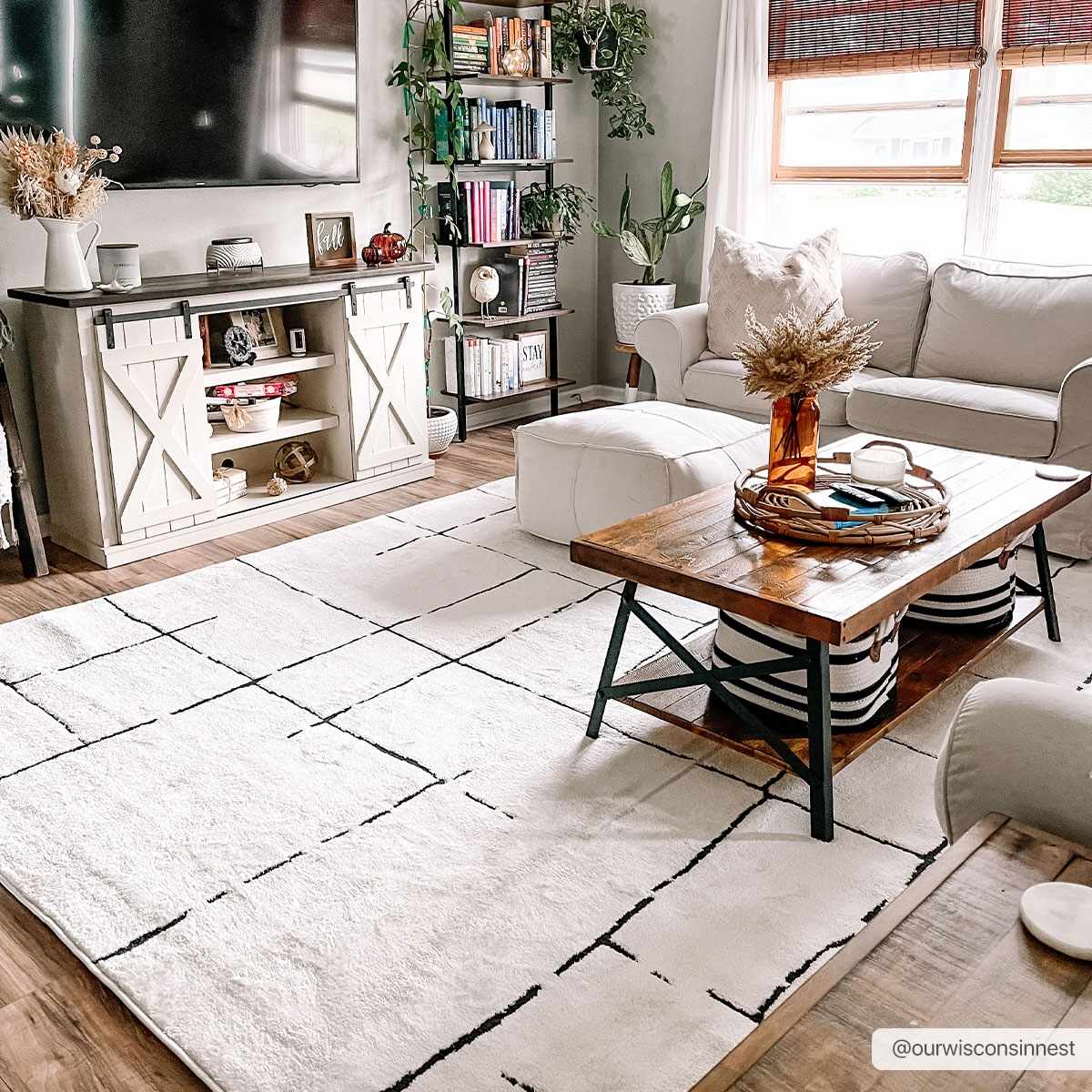 The Linework Plush Area Rug